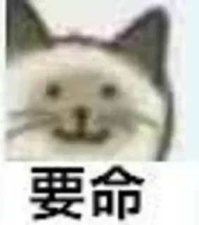 Telegram sticker ☺️ 桃花坞 @szpeachblossom 贴纸