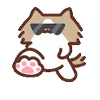 Video sticker 🐱 今天你瑞了吗