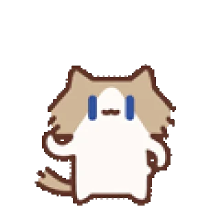 Video sticker 🌪 今天你瑞了吗