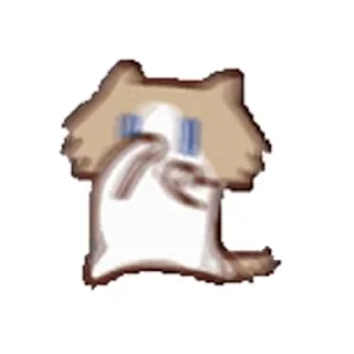 Video sticker 🐱 今天你瑞了吗
