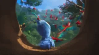 Video sticker 🌟 funk :: @fStikBot