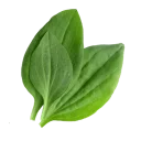 Telegram sticker 🍃 CVTKV #2
