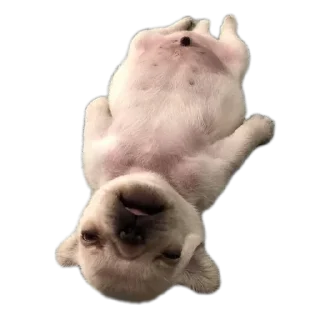 Telegram sticker ❤ Больше стиков тут: @stikery4