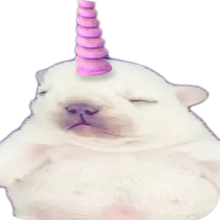 Telegram sticker 🤲 Больше стиков тут: @stikery4