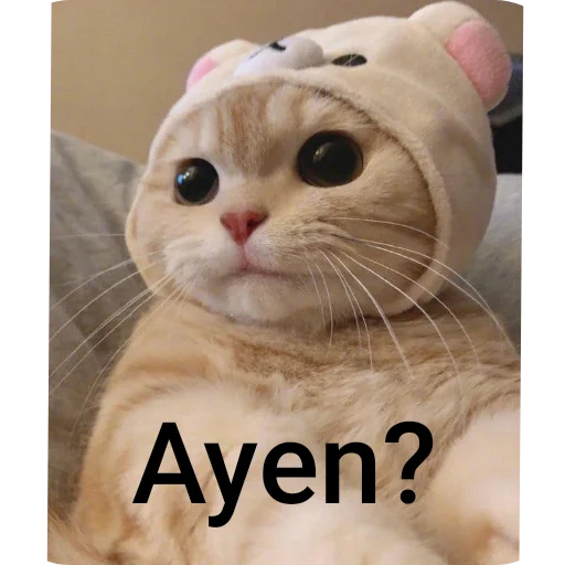 Telegram sticker 🐱 @ShadowHexaAuction