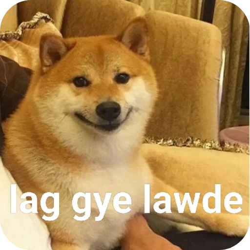 Telegram sticker 🐶 @ShadowHexaAuction