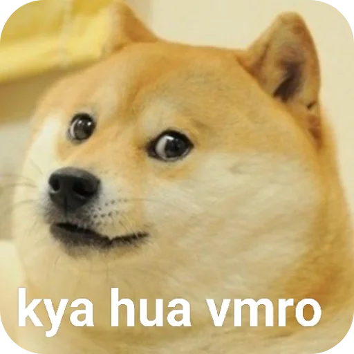 Telegram sticker 🐶 @ShadowHexaAuction