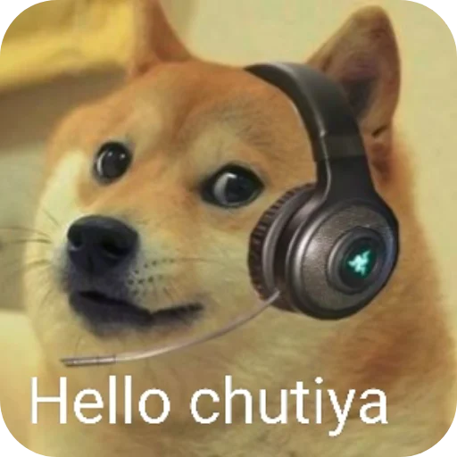 Telegram sticker 🐶 @ShadowHexaAuction