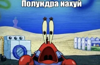 Telegram sticker 🌟 я такой типа :: @fStikBot