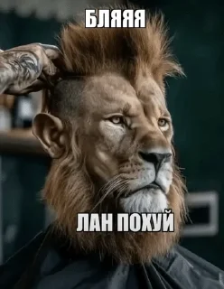Video sticker 🌟 я такой типа :: @fStikBot