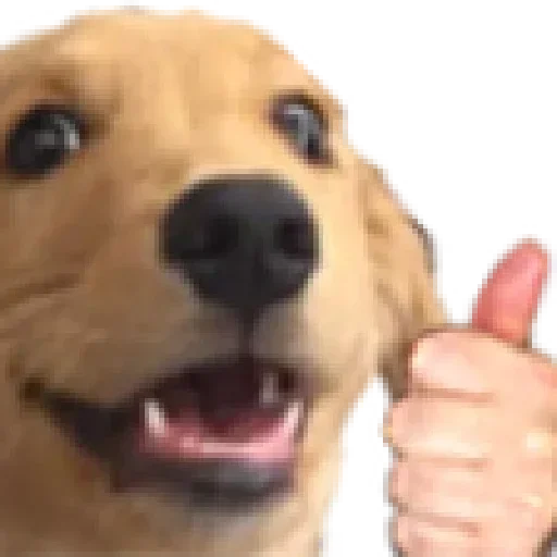 Telegram sticker 😃 @LibraryLives3