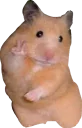 Sticker ✌ cute hamsters