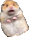 Video sticker 😦 cute hamsters