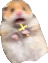 Video sticker ✝️ cute hamsters