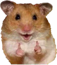 Telegram sticker 👍 cute hamsters