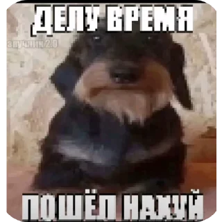 Telegram sticker 🖼 @zxcloud1