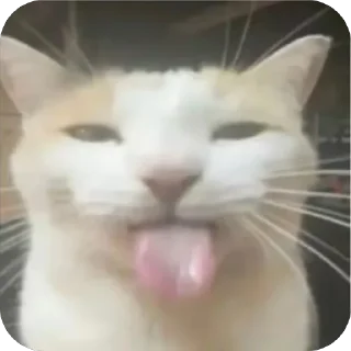 Sticker 🫥 @sztian