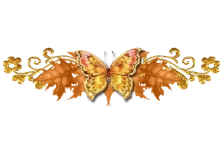 Video sticker 🦋 Separator Bird Animal @PunjabiSticker