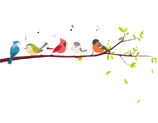 Telegram sticker 🐧 Separator Bird Animal @PunjabiSticker