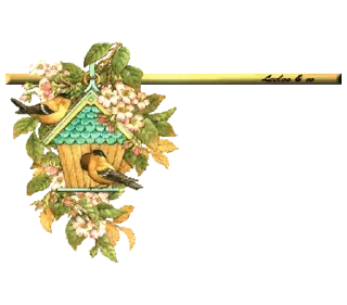 Video sticker 🐧 Separator Bird Animal @PunjabiSticker