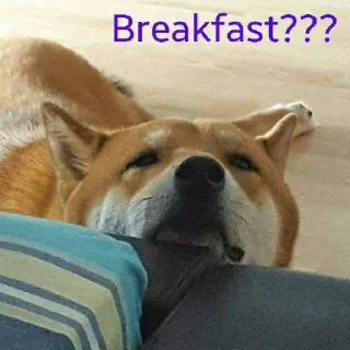 Sticker 🥞 Tracker’s Shoober Pack