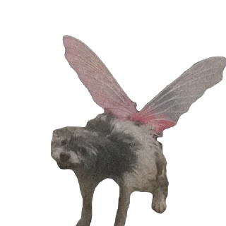 Video sticker 🫥 Meus engraçados