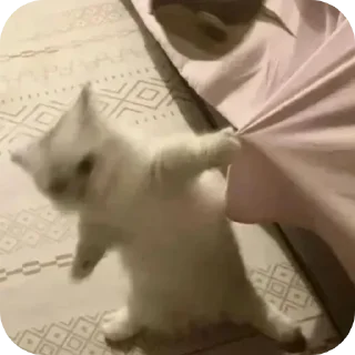 Телеграм стикер 😾 Ah ah ah ah ammm