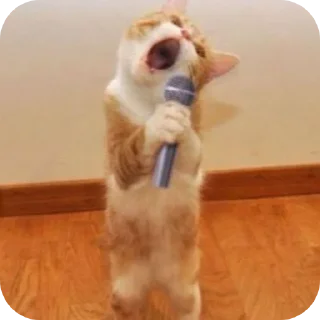 Video sticker 👍 Ah ah ah ah ammm