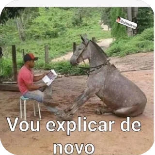 Video sticker 🫥 Alcateia