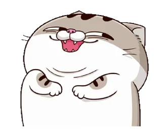 Telegram sticker 😳 fat cat Ami 8(EN) @RekcitsEnilbot