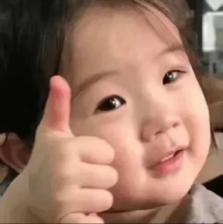Video sticker 😀 招商 @tydg001 :: @fStikBot