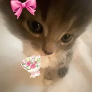 Telegram sticker 💞 برو بچ گپ مرداب