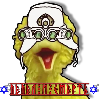 Video sticker 🤪 MSR