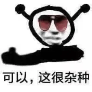 Video sticker 🤔 高速代理 @hgwzcd