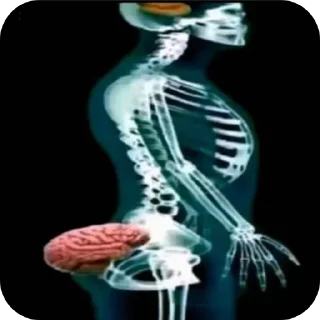 Sticker 💍 @itsnxxa freshhh