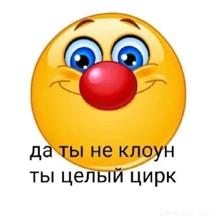 Video sticker 🤡 ⚡axzeek kryt⚡
