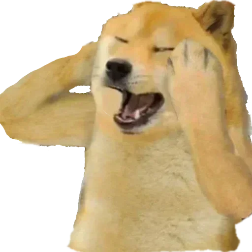 Telegram sticker 😏 Chill
