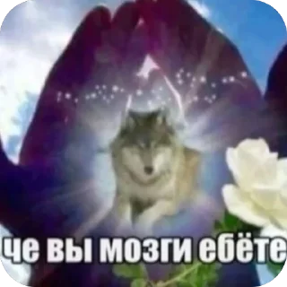 Telegram sticker 🫥 бебебе