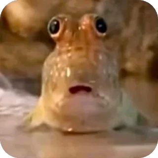 Telegram sticker 🫥 бебебе