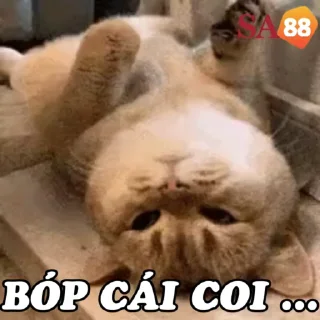 Video sticker 😆 @SA8828 NỀN TẢNG UY TÍN KHÔNG LO LẮNG VỚI SỐ TIỀN LỚN