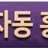 Video sticker 🔻 레옹디자인