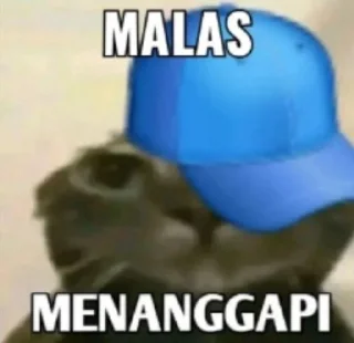 Telegram sticker 🧢 affh iya kids :: @fStikBot