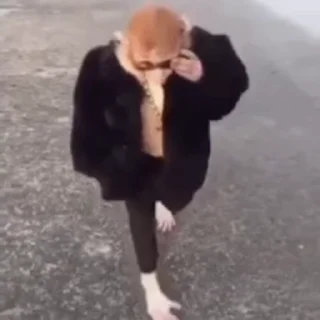 Телеграм стикер 😎 Больше стиков тут: @stikery4