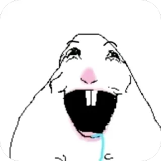 Video sticker 🫥 ХАМЯК 🐹