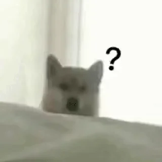 Video sticker ⭐ Thẻo vô tri