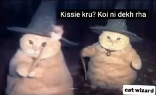 Video sticker 🌟 @keepcalmyami JaduCARS💋 :: @fStikBot