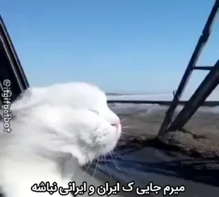 Телеграм стикер 😔 Text 7 :: @fStikBot