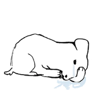 Телеграм стикер ⭐ 듀.. 가나디 6