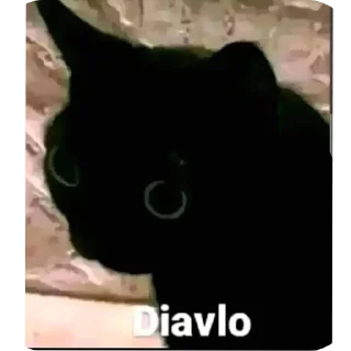 Telegram sticker 🐱 K-101