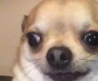 Telegram sticker 🔱 ySo - @yySoo - @ySooo 🔥